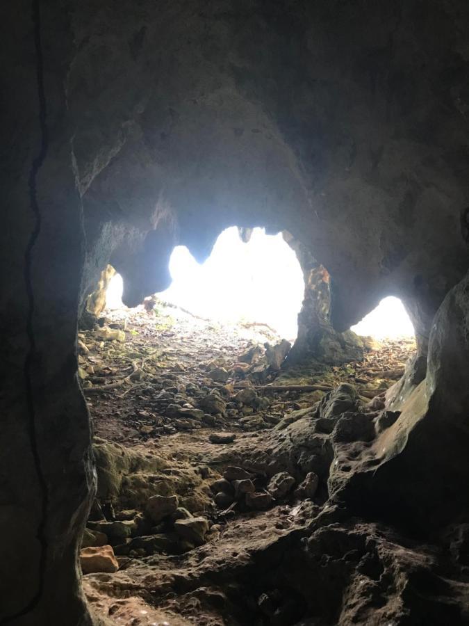 Oasis En La Naturaleza Rancho Alto Bonito Las Galeras Kültér fotó