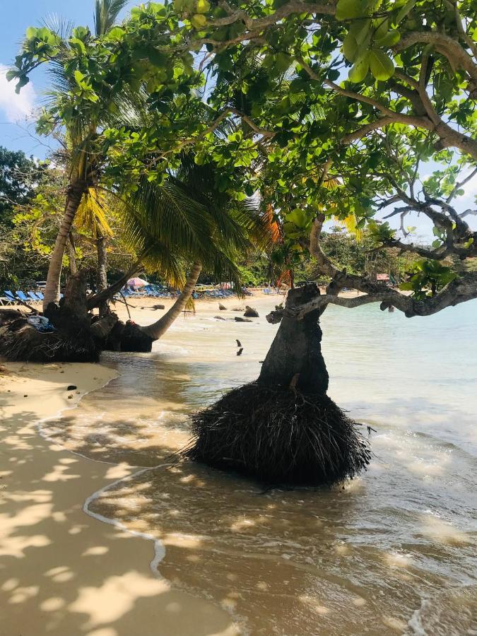 Oasis En La Naturaleza Rancho Alto Bonito Las Galeras Kültér fotó
