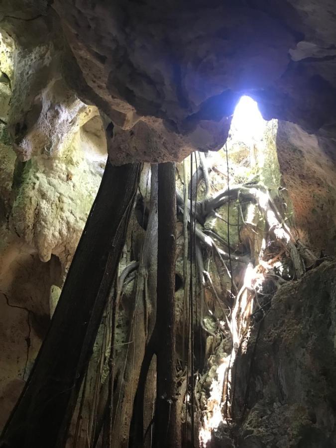 Oasis En La Naturaleza Rancho Alto Bonito Las Galeras Kültér fotó