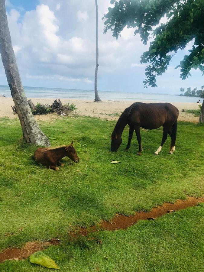 Oasis En La Naturaleza Rancho Alto Bonito Las Galeras Kültér fotó