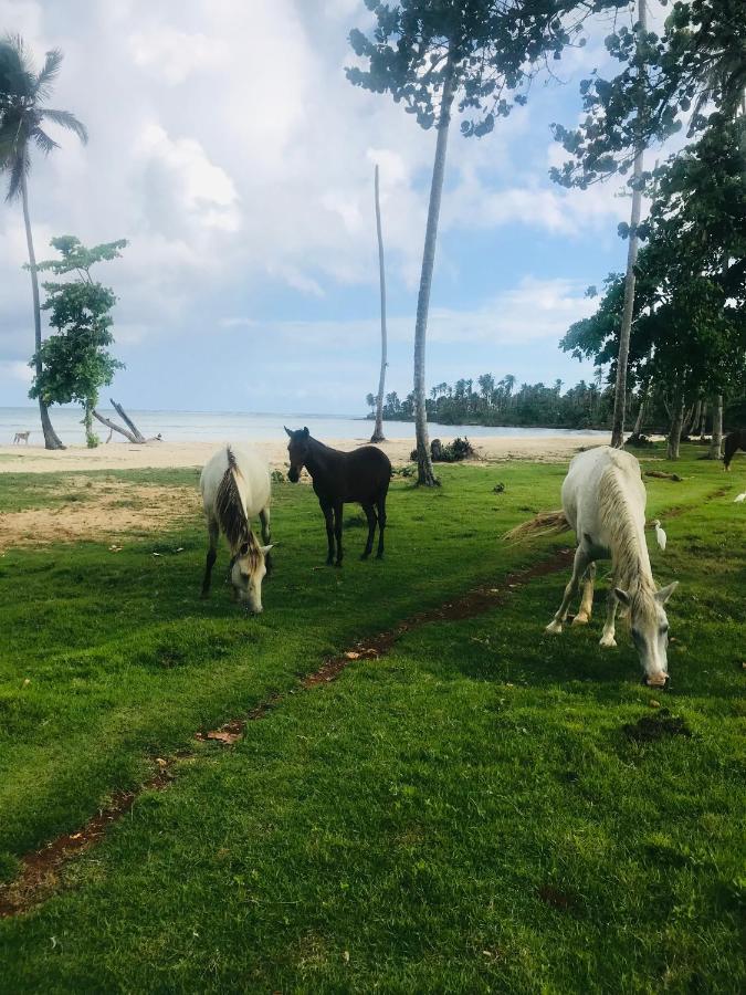 Oasis En La Naturaleza Rancho Alto Bonito Las Galeras Kültér fotó